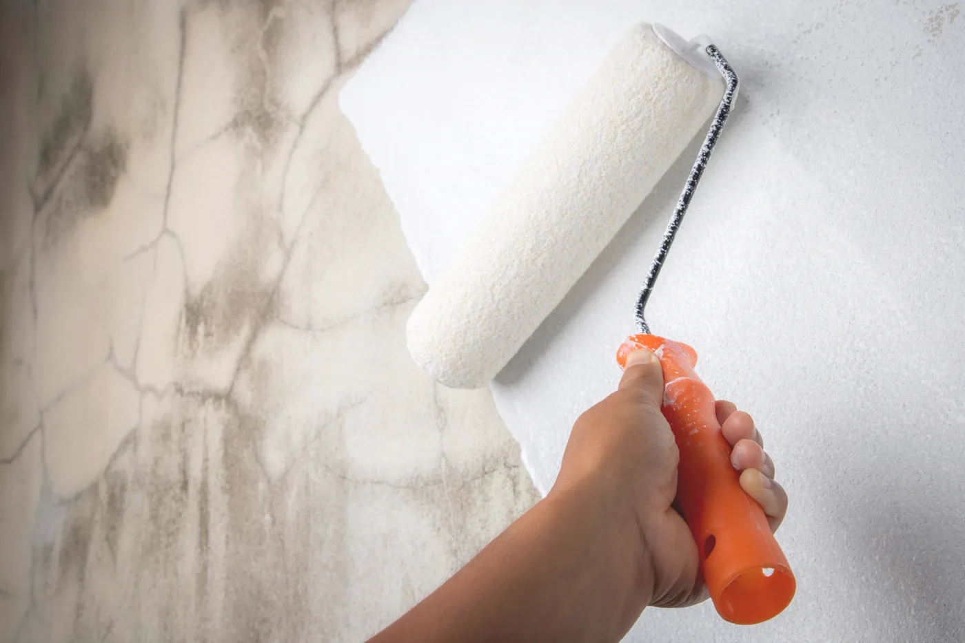 Rolling fresh paint onto an interior wall